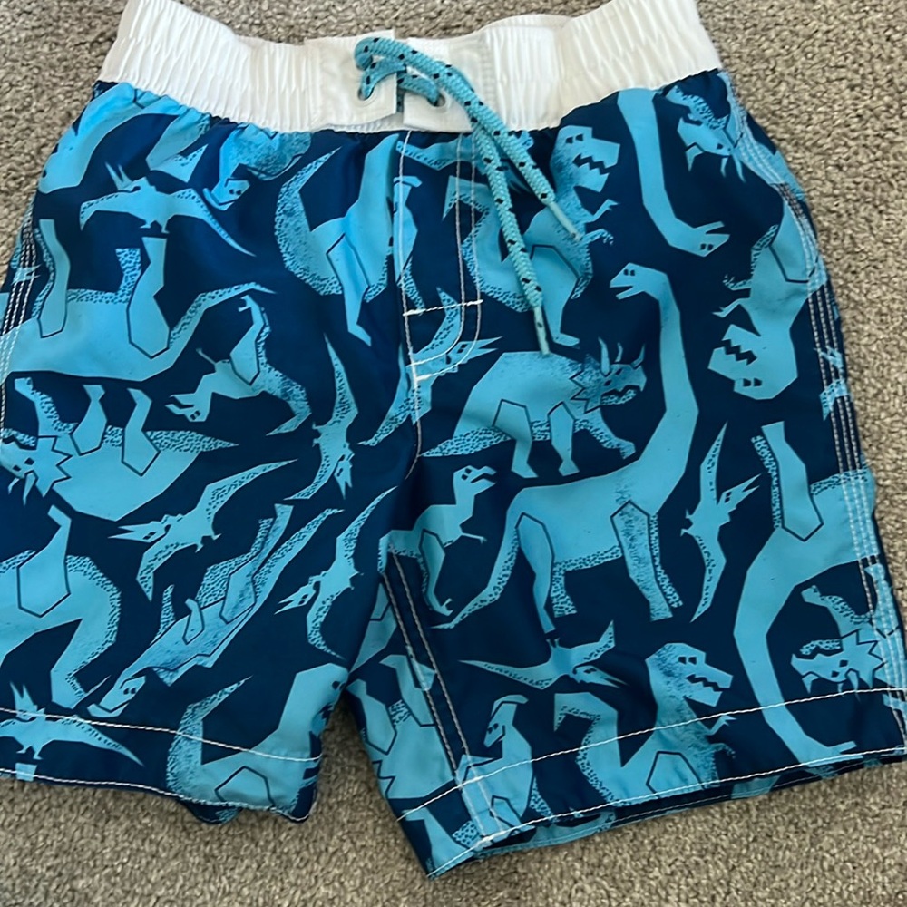Boys swim trunk gap dinasaur